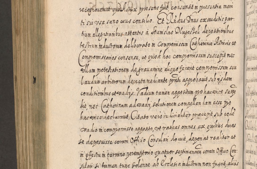 Zdjęcie nr 1653 dla obiektu archiwalnego: Acta actorum, causarum spiritualium, civilium, criminalium, obligationum, cessionum, decimarum, testamentorum R. D. Martini Szyszkowski, episcopi Cracoviensis, ducis Severiensis in annis 1617 - 1619. Tomus primus.