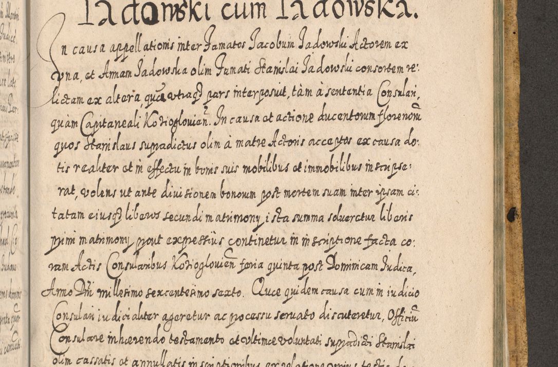 Zdjęcie nr 1640 dla obiektu archiwalnego: Acta actorum, causarum spiritualium, civilium, criminalium, obligationum, cessionum, decimarum, testamentorum R. D. Martini Szyszkowski, episcopi Cracoviensis, ducis Severiensis in annis 1617 - 1619. Tomus primus.
