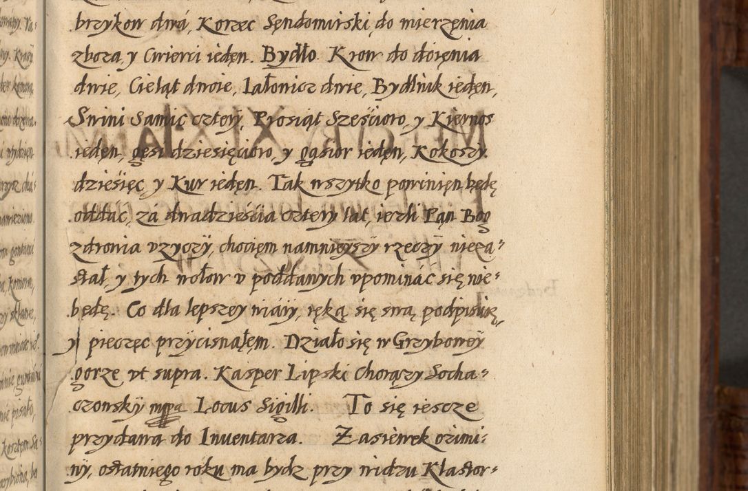 Zdjęcie nr 110 dla obiektu archiwalnego: Acta episcopalia R. D. Jacobi Zadzik, episcopi Cracoviensis et ducis Severiae annorum 1639 et 1640. Volumen II