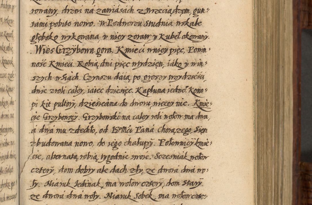 Zdjęcie nr 108 dla obiektu archiwalnego: Acta episcopalia R. D. Jacobi Zadzik, episcopi Cracoviensis et ducis Severiae annorum 1639 et 1640. Volumen II