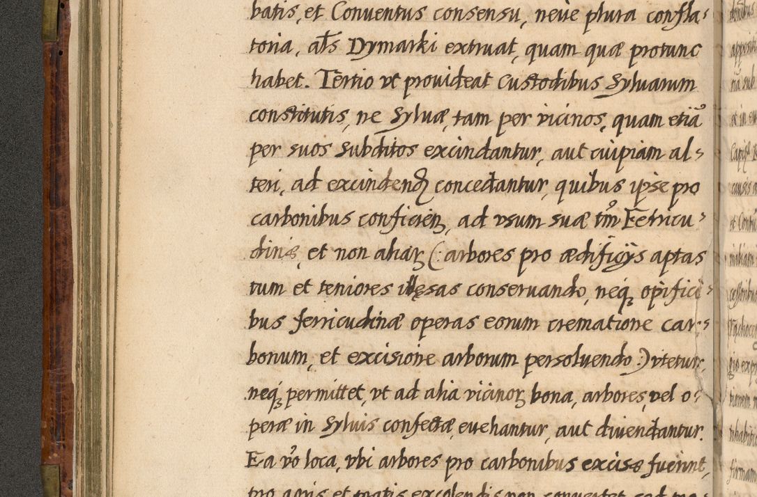 Zdjęcie nr 91 dla obiektu archiwalnego: Acta episcopalia R. D. Jacobi Zadzik, episcopi Cracoviensis et ducis Severiae annorum 1639 et 1640. Volumen II
