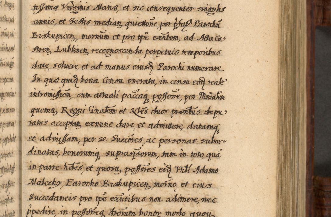 Zdjęcie nr 354 dla obiektu archiwalnego: Acta episcopalia R. D. Jacobi Zadzik, episcopi Cracoviensis et ducis Severiae annorum 1639 et 1640. Volumen II