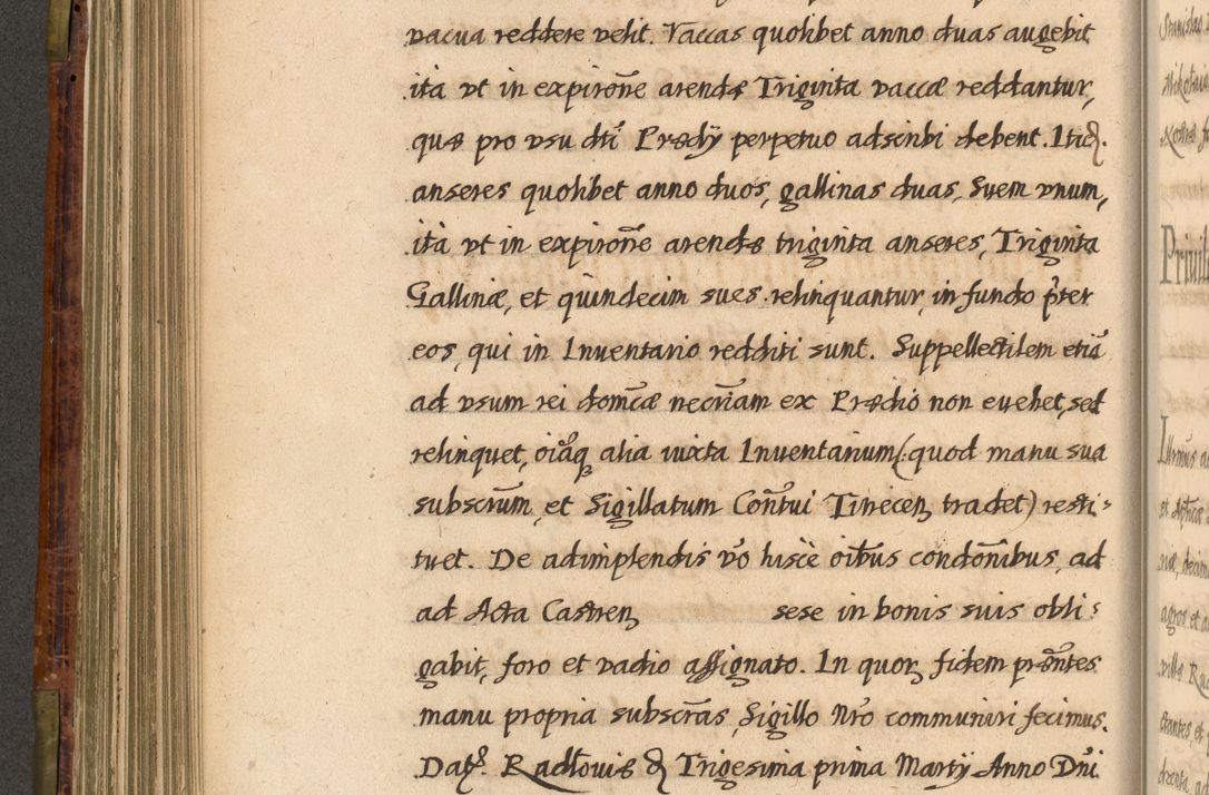 Zdjęcie nr 341 dla obiektu archiwalnego: Acta episcopalia R. D. Jacobi Zadzik, episcopi Cracoviensis et ducis Severiae annorum 1639 et 1640. Volumen II