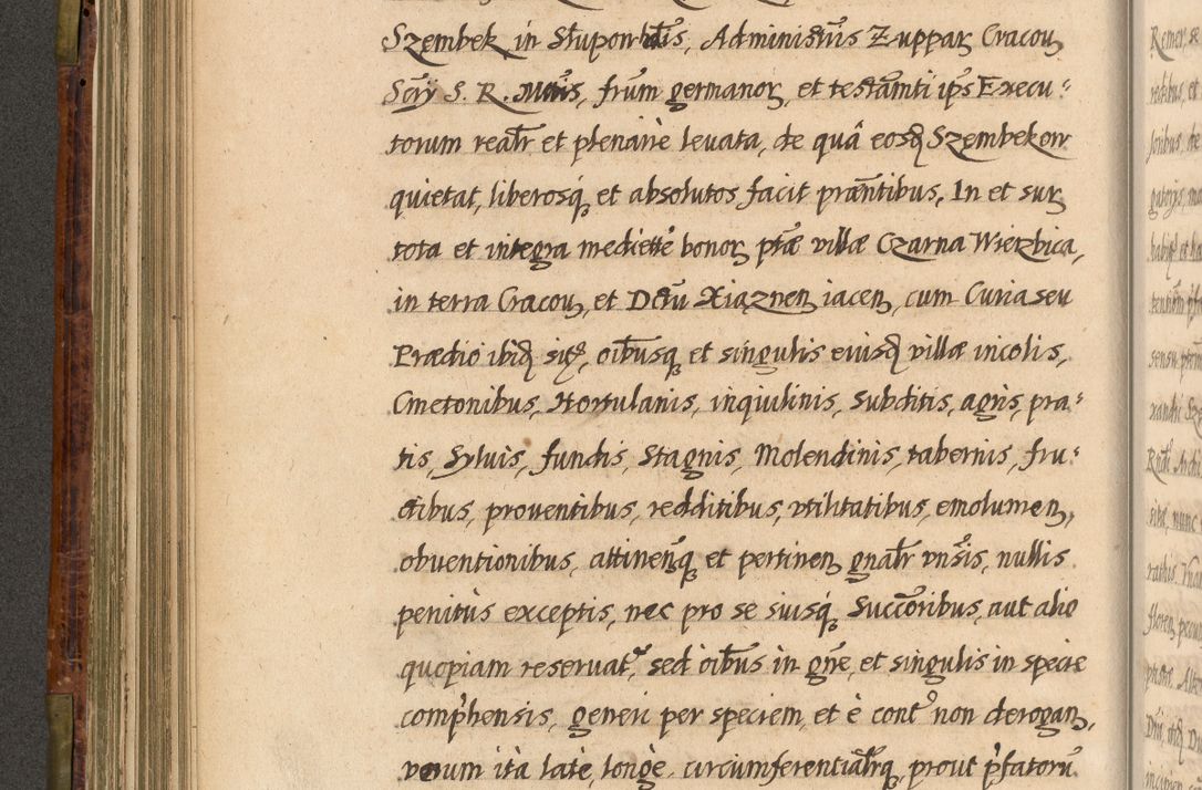 Zdjęcie nr 285 dla obiektu archiwalnego: Acta episcopalia R. D. Jacobi Zadzik, episcopi Cracoviensis et ducis Severiae annorum 1639 et 1640. Volumen II