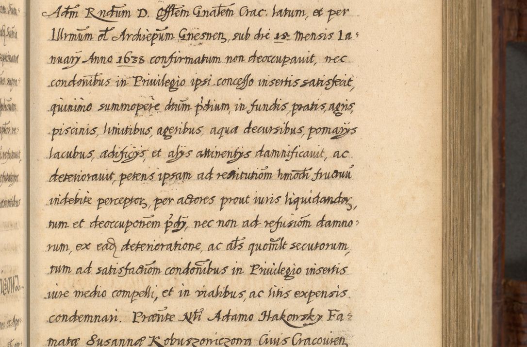 Zdjęcie nr 272 dla obiektu archiwalnego: Acta episcopalia R. D. Jacobi Zadzik, episcopi Cracoviensis et ducis Severiae annorum 1639 et 1640. Volumen II