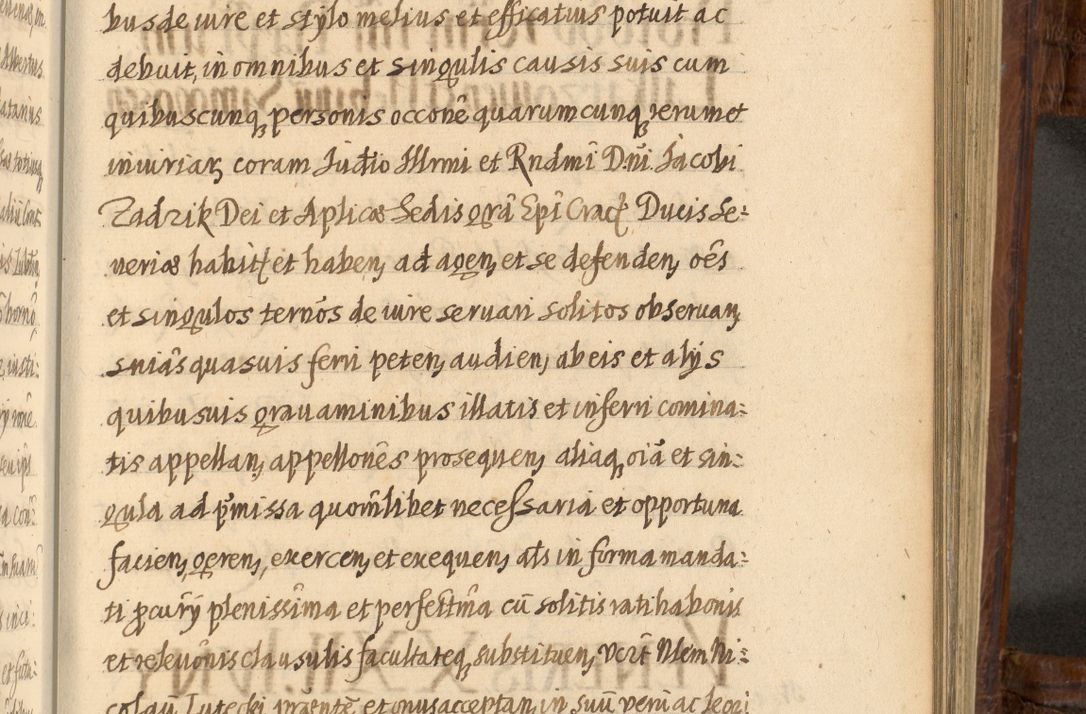 Zdjęcie nr 1075 dla obiektu archiwalnego: Acta episcopalia R. D. Jacobi Zadzik, episcopi Cracoviensis et ducis Severiae annorum 1639 et 1640. Volumen II