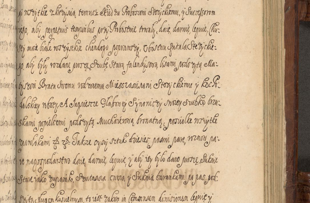 Zdjęcie nr 1293 dla obiektu archiwalnego: Acta episcopalia R. D. Jacobi Zadzik, episcopi Cracoviensis et ducis Severiae annorum 1639 et 1640. Volumen II