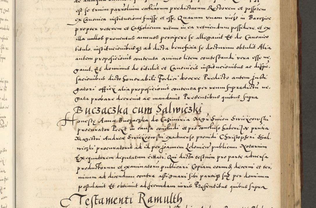 Zdjęcie nr 197 dla obiektu archiwalnego: Acta actorum causarum sententiarum deffinitiuarum, quam interloquutoriarum, decretorum, obligationum, procuratorum etc. coram Reverendo Domino Martino Izbienski de Rusiecz Archidiacono Posnaniensis, custode et in Spiritualibus Vicario generali officiali Cracoviensis, ad Annum Domini Millesimum quingentesimum Sexagesimum Nonum cuius indictio duodecima, Pontus Sanctissimi Pii Papae Quinti Annus quartus foeliciter continuantur