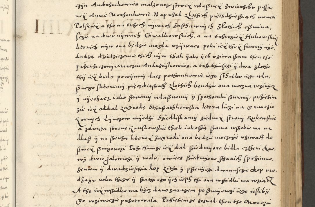 Zdjęcie nr 173 dla obiektu archiwalnego: Acta actorum causarum sententiarum deffinitiuarum, quam interloquutoriarum, decretorum, obligationum, procuratorum etc. coram Reverendo Domino Martino Izbienski de Rusiecz Archidiacono Posnaniensis, custode et in Spiritualibus Vicario generali officiali Cracoviensis, ad Annum Domini Millesimum quingentesimum Sexagesimum Nonum cuius indictio duodecima, Pontus Sanctissimi Pii Papae Quinti Annus quartus foeliciter continuantur