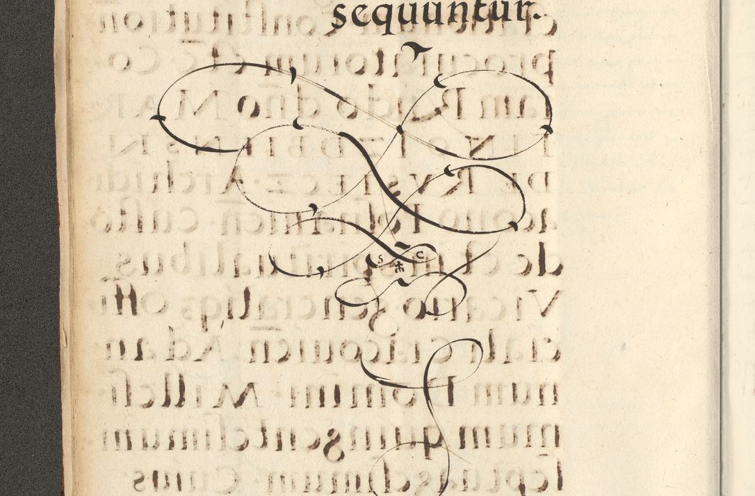 Zdjęcie nr 38 dla obiektu archiwalnego: Acta actorum causarum sententiarum deffinitiuarum, quam interloquutoriarum, decretorum, obligationum, procuratorum etc. coram Reverendo Domino Martino Izbienski de Rusiecz Archidiacono Posnaniensis, custode et in Spiritualibus Vicario generali officiali Cracoviensis, ad Annum Domini Millesimum quingentesimum Sexagesimum Nonum cuius indictio duodecima, Pontus Sanctissimi Pii Papae Quinti Annus quartus foeliciter continuantur