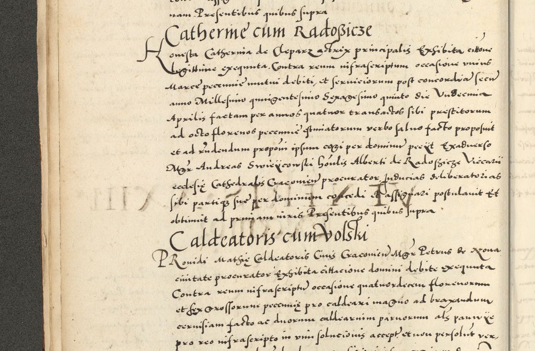 Zdjęcie nr 34 dla obiektu archiwalnego: Acta actorum causarum sententiarum deffinitiuarum, quam interloquutoriarum, decretorum, obligationum, procuratorum etc. coram Reverendo Domino Martino Izbienski de Rusiecz Archidiacono Posnaniensis, custode et in Spiritualibus Vicario generali officiali Cracoviensis, ad Annum Domini Millesimum quingentesimum Sexagesimum Nonum cuius indictio duodecima, Pontus Sanctissimi Pii Papae Quinti Annus quartus foeliciter continuantur