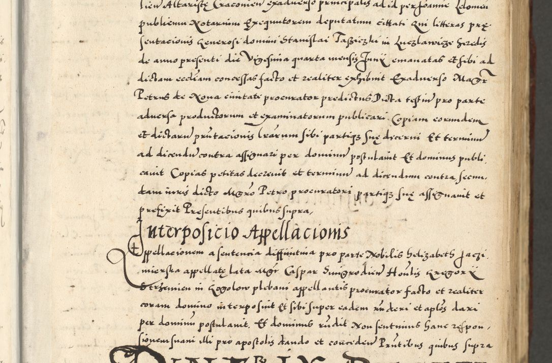 Zdjęcie nr 19 dla obiektu archiwalnego: Acta actorum causarum sententiarum deffinitiuarum, quam interloquutoriarum, decretorum, obligationum, procuratorum etc. coram Reverendo Domino Martino Izbienski de Rusiecz Archidiacono Posnaniensis, custode et in Spiritualibus Vicario generali officiali Cracoviensis, ad Annum Domini Millesimum quingentesimum Sexagesimum Nonum cuius indictio duodecima, Pontus Sanctissimi Pii Papae Quinti Annus quartus foeliciter continuantur