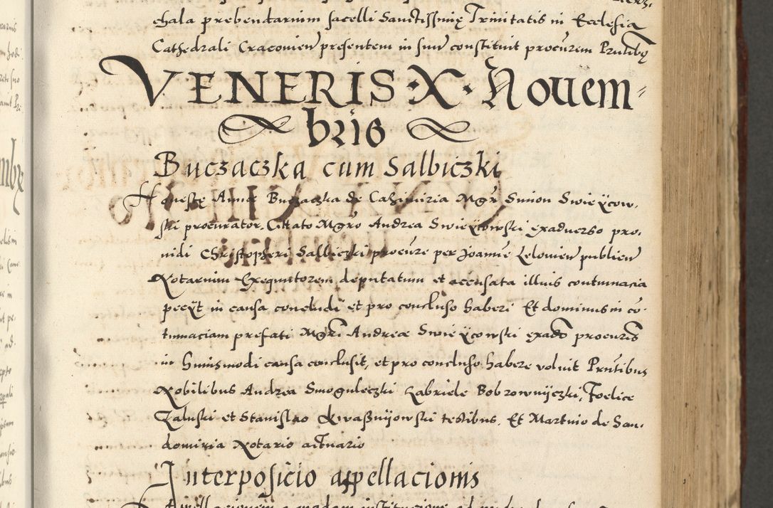 Zdjęcie nr 311 dla obiektu archiwalnego: Acta actorum causarum sententiarum deffinitiuarum, quam interloquutoriarum, decretorum, obligationum, procuratorum etc. coram Reverendo Domino Martino Izbienski de Rusiecz Archidiacono Posnaniensis, custode et in Spiritualibus Vicario generali officiali Cracoviensis, ad Annum Domini Millesimum quingentesimum Sexagesimum Nonum cuius indictio duodecima, Pontus Sanctissimi Pii Papae Quinti Annus quartus foeliciter continuantur