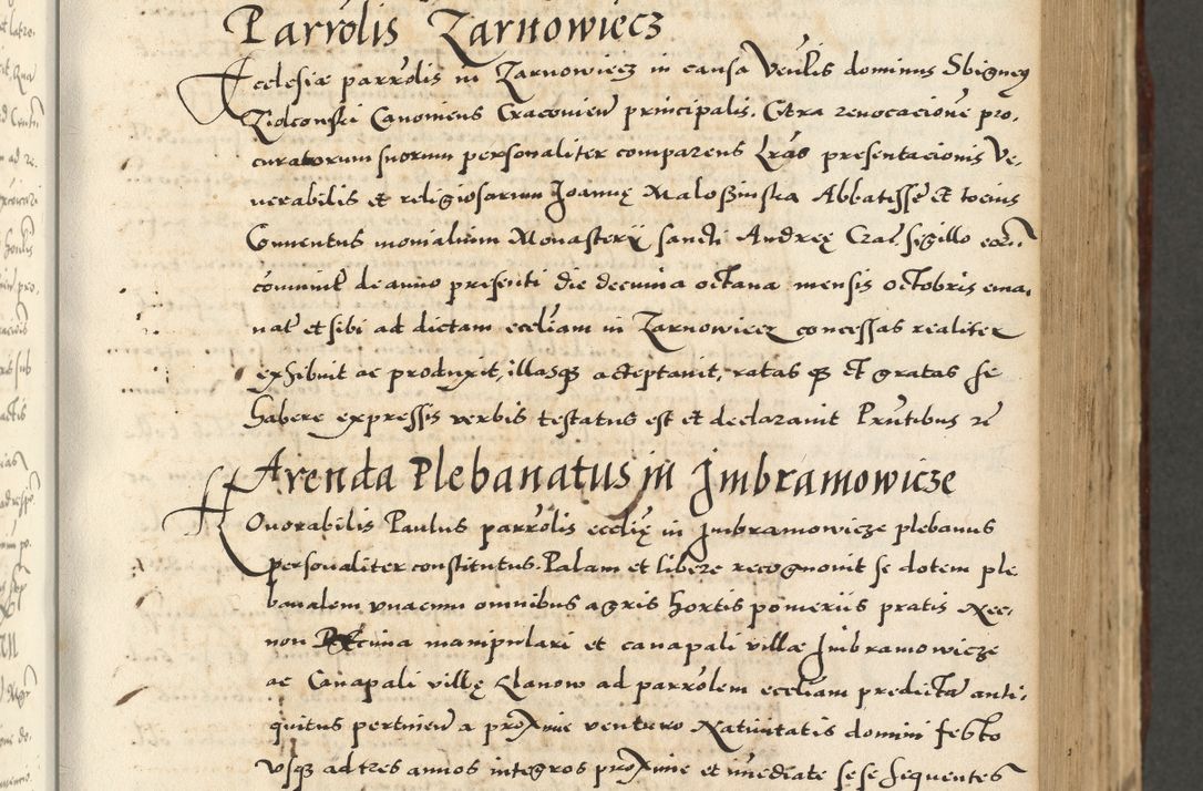 Zdjęcie nr 299 dla obiektu archiwalnego: Acta actorum causarum sententiarum deffinitiuarum, quam interloquutoriarum, decretorum, obligationum, procuratorum etc. coram Reverendo Domino Martino Izbienski de Rusiecz Archidiacono Posnaniensis, custode et in Spiritualibus Vicario generali officiali Cracoviensis, ad Annum Domini Millesimum quingentesimum Sexagesimum Nonum cuius indictio duodecima, Pontus Sanctissimi Pii Papae Quinti Annus quartus foeliciter continuantur