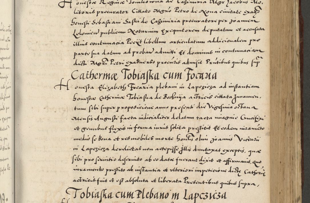 Zdjęcie nr 273 dla obiektu archiwalnego: Acta actorum causarum sententiarum deffinitiuarum, quam interloquutoriarum, decretorum, obligationum, procuratorum etc. coram Reverendo Domino Martino Izbienski de Rusiecz Archidiacono Posnaniensis, custode et in Spiritualibus Vicario generali officiali Cracoviensis, ad Annum Domini Millesimum quingentesimum Sexagesimum Nonum cuius indictio duodecima, Pontus Sanctissimi Pii Papae Quinti Annus quartus foeliciter continuantur