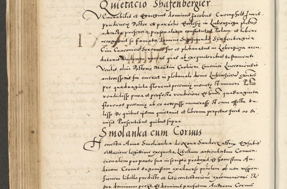 Zdjęcie nr 224 dla obiektu archiwalnego: Acta actorum causarum sententiarum deffinitiuarum, quam interloquutoriarum, decretorum, obligationum, procuratorum etc. coram Reverendo Domino Martino Izbienski de Rusiecz Archidiacono Posnaniensis, custode et in Spiritualibus Vicario generali officiali Cracoviensis, ad Annum Domini Millesimum quingentesimum Sexagesimum Nonum cuius indictio duodecima, Pontus Sanctissimi Pii Papae Quinti Annus quartus foeliciter continuantur
