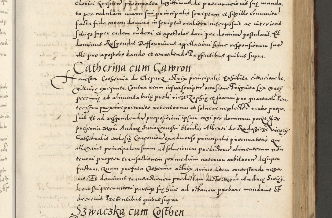 Zdjęcie nr 213 dla obiektu archiwalnego: Acta actorum causarum sententiarum deffinitiuarum, quam interloquutoriarum, decretorum, obligationum, procuratorum etc. coram Reverendo Domino Martino Izbienski de Rusiecz Archidiacono Posnaniensis, custode et in Spiritualibus Vicario generali officiali Cracoviensis, ad Annum Domini Millesimum quingentesimum Sexagesimum Nonum cuius indictio duodecima, Pontus Sanctissimi Pii Papae Quinti Annus quartus foeliciter continuantur
