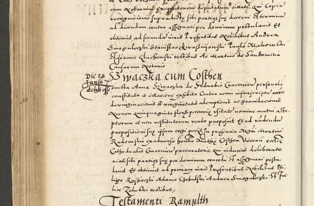 Zdjęcie nr 212 dla obiektu archiwalnego: Acta actorum causarum sententiarum deffinitiuarum, quam interloquutoriarum, decretorum, obligationum, procuratorum etc. coram Reverendo Domino Martino Izbienski de Rusiecz Archidiacono Posnaniensis, custode et in Spiritualibus Vicario generali officiali Cracoviensis, ad Annum Domini Millesimum quingentesimum Sexagesimum Nonum cuius indictio duodecima, Pontus Sanctissimi Pii Papae Quinti Annus quartus foeliciter continuantur