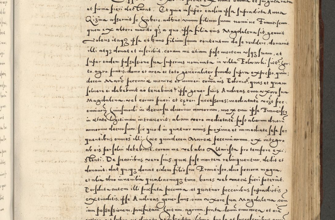 Zdjęcie nr 585 dla obiektu archiwalnego: Acta actorum causarum sententiarum deffinitiuarum, quam interloquutoriarum, decretorum, obligationum, procuratorum etc. coram Reverendo Domino Martino Izbienski de Rusiecz Archidiacono Posnaniensis, custode et in Spiritualibus Vicario generali officiali Cracoviensis, ad Annum Domini Millesimum quingentesimum Sexagesimum Nonum cuius indictio duodecima, Pontus Sanctissimi Pii Papae Quinti Annus quartus foeliciter continuantur