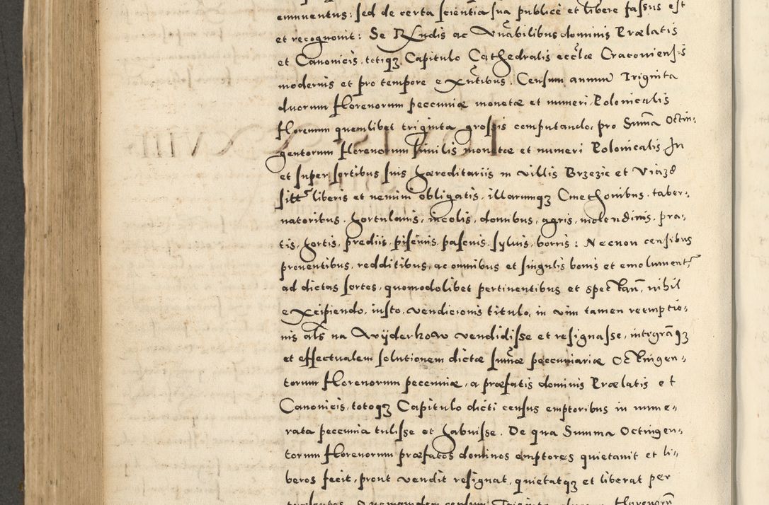 Zdjęcie nr 542 dla obiektu archiwalnego: Acta actorum causarum sententiarum deffinitiuarum, quam interloquutoriarum, decretorum, obligationum, procuratorum etc. coram Reverendo Domino Martino Izbienski de Rusiecz Archidiacono Posnaniensis, custode et in Spiritualibus Vicario generali officiali Cracoviensis, ad Annum Domini Millesimum quingentesimum Sexagesimum Nonum cuius indictio duodecima, Pontus Sanctissimi Pii Papae Quinti Annus quartus foeliciter continuantur