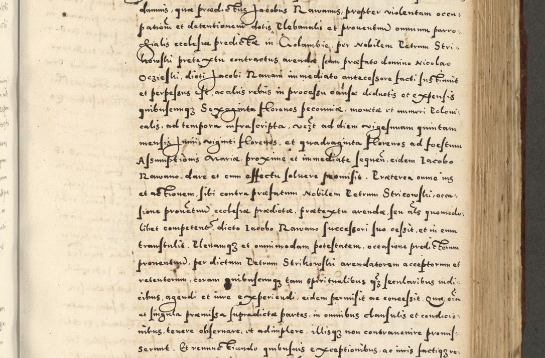 Zdjęcie nr 535 dla obiektu archiwalnego: Acta actorum causarum sententiarum deffinitiuarum, quam interloquutoriarum, decretorum, obligationum, procuratorum etc. coram Reverendo Domino Martino Izbienski de Rusiecz Archidiacono Posnaniensis, custode et in Spiritualibus Vicario generali officiali Cracoviensis, ad Annum Domini Millesimum quingentesimum Sexagesimum Nonum cuius indictio duodecima, Pontus Sanctissimi Pii Papae Quinti Annus quartus foeliciter continuantur