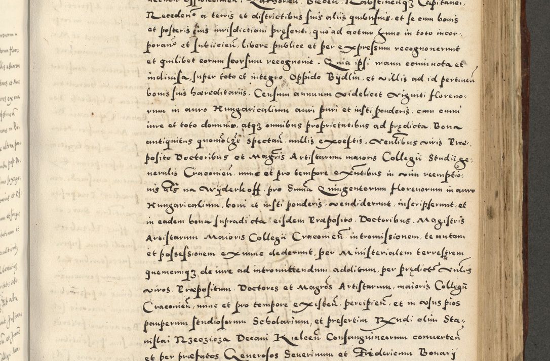 Zdjęcie nr 779 dla obiektu archiwalnego: Acta actorum causarum sententiarum deffinitiuarum, quam interloquutoriarum, decretorum, obligationum, procuratorum etc. coram Reverendo Domino Martino Izbienski de Rusiecz Archidiacono Posnaniensis, custode et in Spiritualibus Vicario generali officiali Cracoviensis, ad Annum Domini Millesimum quingentesimum Sexagesimum Nonum cuius indictio duodecima, Pontus Sanctissimi Pii Papae Quinti Annus quartus foeliciter continuantur