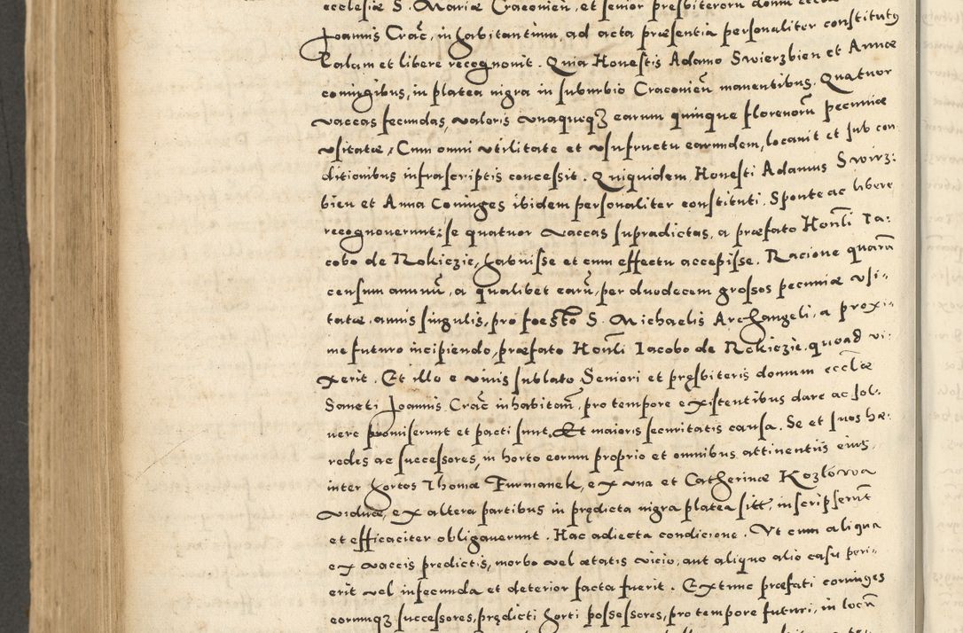 Zdjęcie nr 668 dla obiektu archiwalnego: Acta actorum causarum sententiarum deffinitiuarum, quam interloquutoriarum, decretorum, obligationum, procuratorum etc. coram Reverendo Domino Martino Izbienski de Rusiecz Archidiacono Posnaniensis, custode et in Spiritualibus Vicario generali officiali Cracoviensis, ad Annum Domini Millesimum quingentesimum Sexagesimum Nonum cuius indictio duodecima, Pontus Sanctissimi Pii Papae Quinti Annus quartus foeliciter continuantur