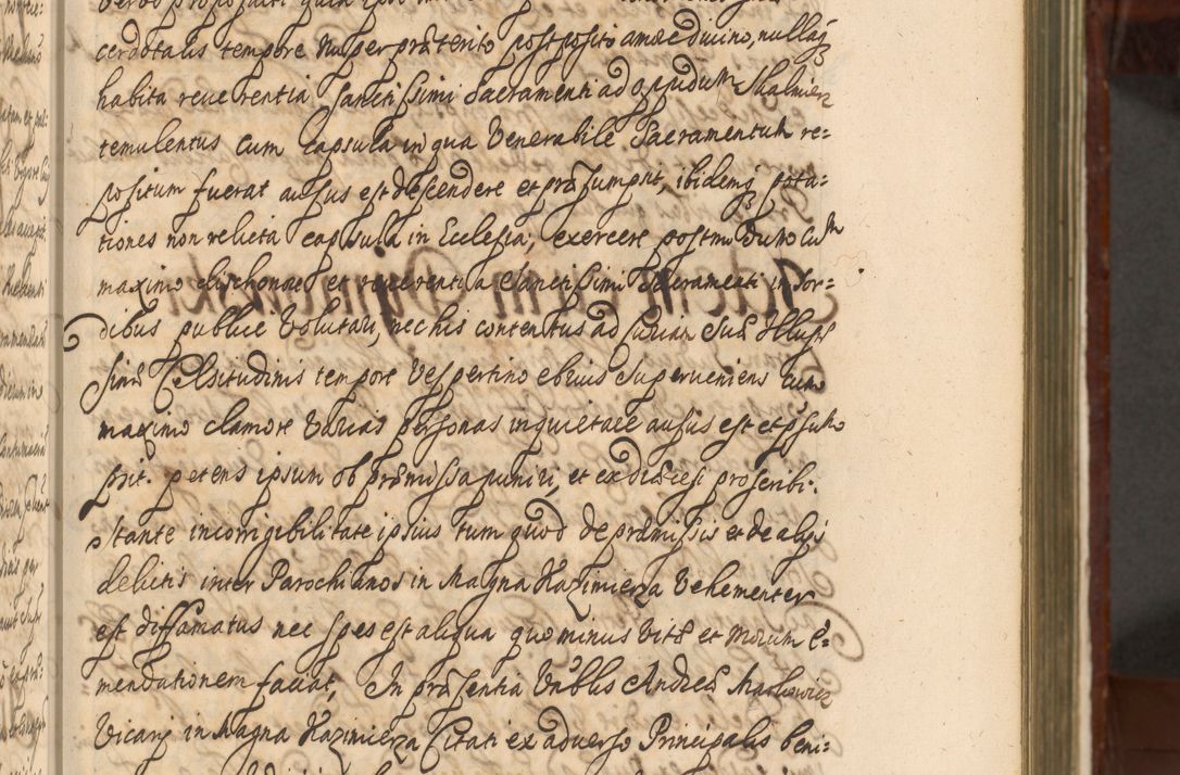 Zdjęcie nr 186 dla obiektu archiwalnego: Acta actorum episcopalium R. D. Andreae Trzebicki, episcopi Cracoviensis et ducis Severiae a die 26 Augusti anni 1661 ad annum 1666 inclusive. Volumen III.