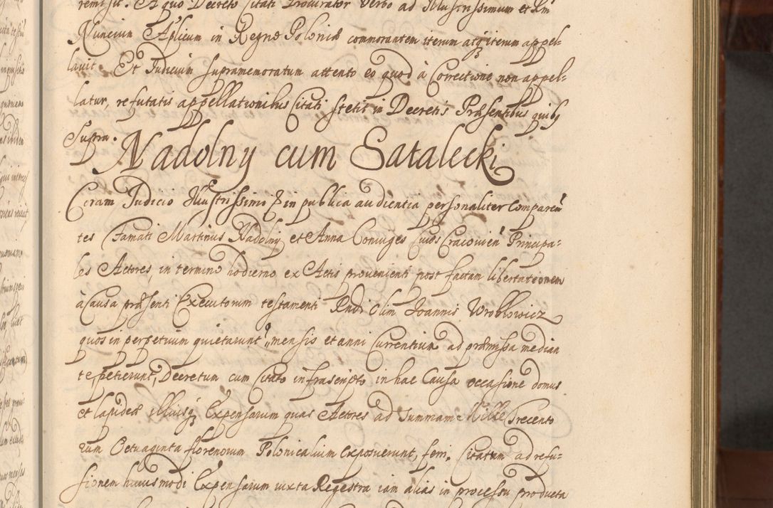 Zdjęcie nr 396 dla obiektu archiwalnego: Acta actorum episcopalium R. D. Andreae Trzebicki, episcopi Cracoviensis et ducis Severiae a die 26 Augusti anni 1661 ad annum 1666 inclusive. Volumen III.