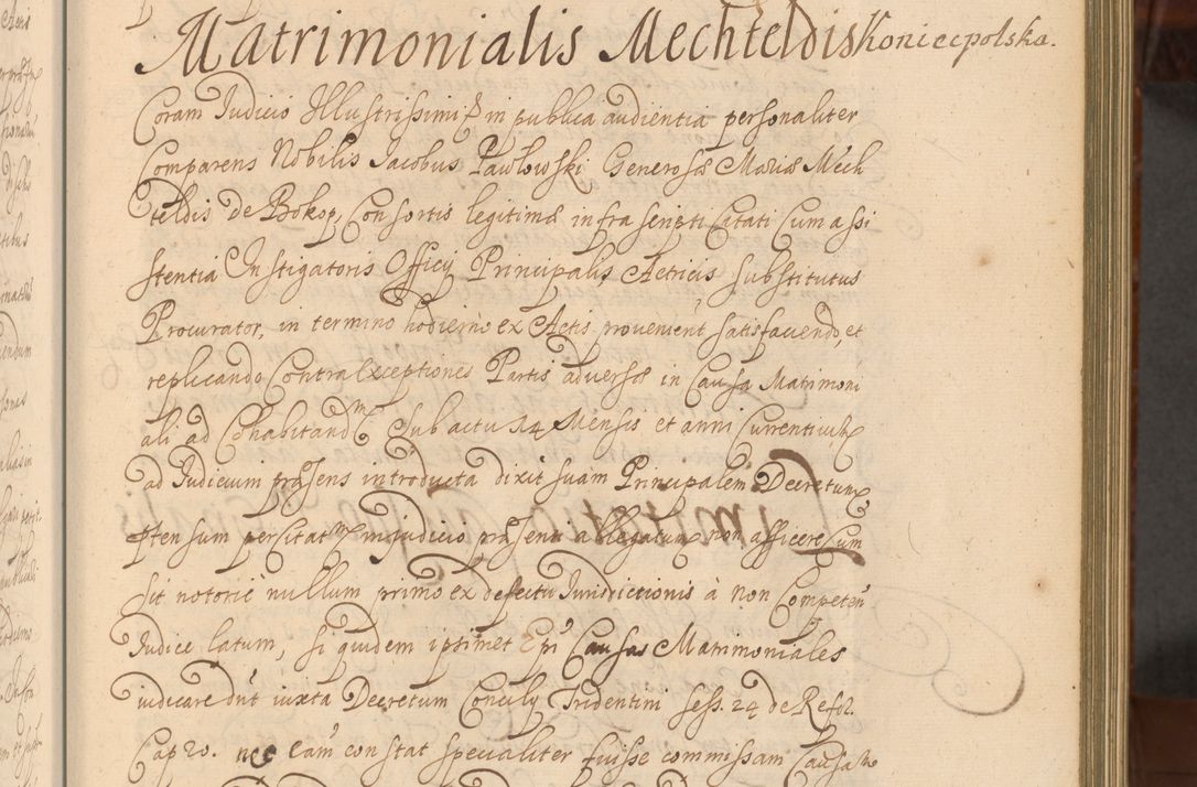 Zdjęcie nr 338 dla obiektu archiwalnego: Acta actorum episcopalium R. D. Andreae Trzebicki, episcopi Cracoviensis et ducis Severiae a die 26 Augusti anni 1661 ad annum 1666 inclusive. Volumen III.