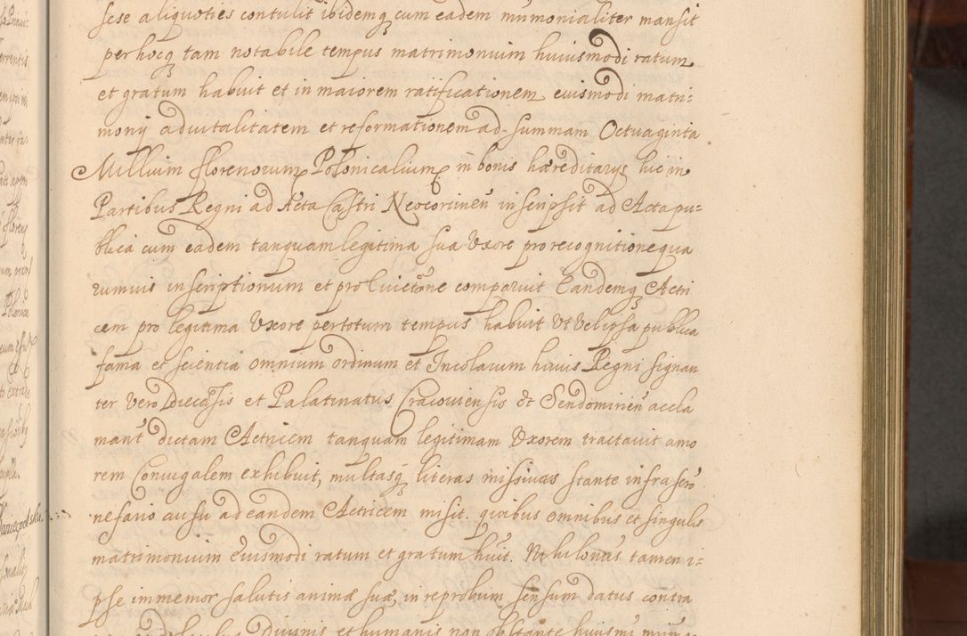 Zdjęcie nr 320 dla obiektu archiwalnego: Acta actorum episcopalium R. D. Andreae Trzebicki, episcopi Cracoviensis et ducis Severiae a die 26 Augusti anni 1661 ad annum 1666 inclusive. Volumen III.