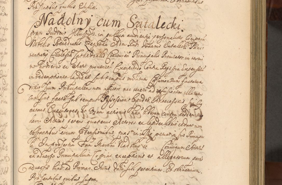Zdjęcie nr 260 dla obiektu archiwalnego: Acta actorum episcopalium R. D. Andreae Trzebicki, episcopi Cracoviensis et ducis Severiae a die 26 Augusti anni 1661 ad annum 1666 inclusive. Volumen III.