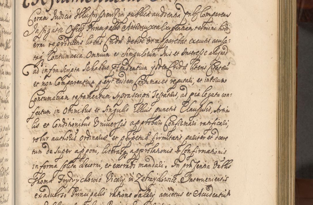 Zdjęcie nr 246 dla obiektu archiwalnego: Acta actorum episcopalium R. D. Andreae Trzebicki, episcopi Cracoviensis et ducis Severiae a die 26 Augusti anni 1661 ad annum 1666 inclusive. Volumen III.