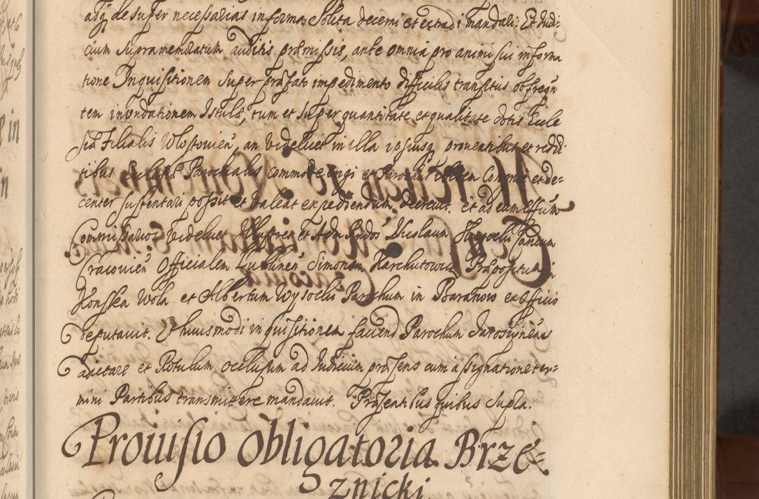 Zdjęcie nr 226 dla obiektu archiwalnego: Acta actorum episcopalium R. D. Andreae Trzebicki, episcopi Cracoviensis et ducis Severiae a die 26 Augusti anni 1661 ad annum 1666 inclusive. Volumen III.