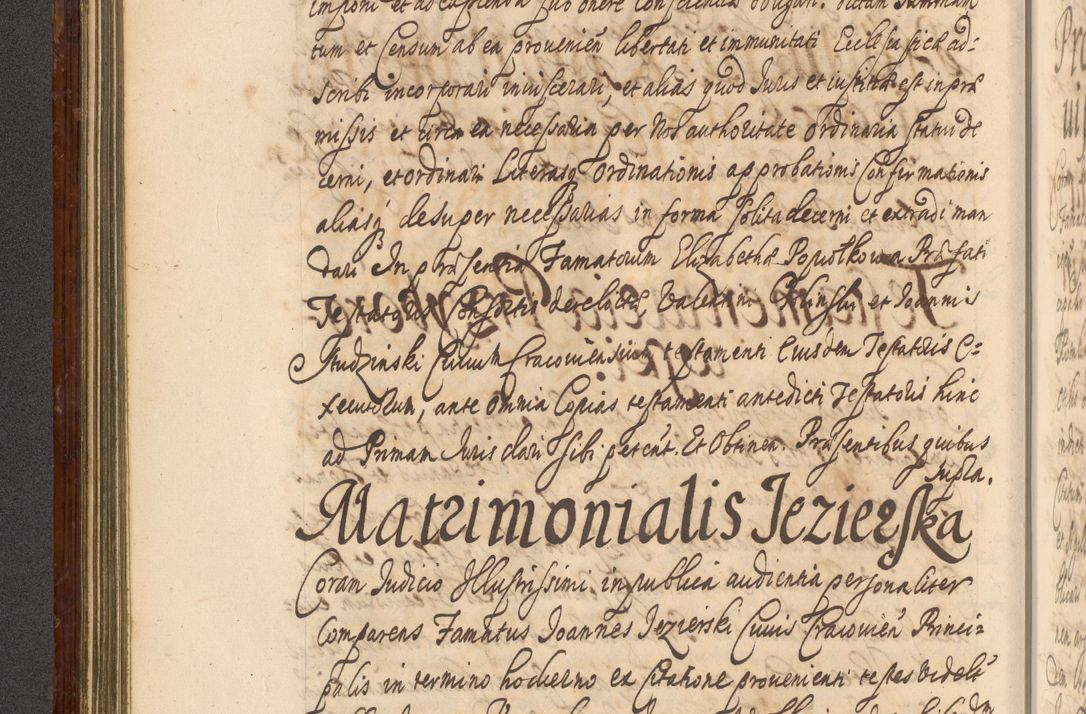 Zdjęcie nr 223 dla obiektu archiwalnego: Acta actorum episcopalium R. D. Andreae Trzebicki, episcopi Cracoviensis et ducis Severiae a die 26 Augusti anni 1661 ad annum 1666 inclusive. Volumen III.