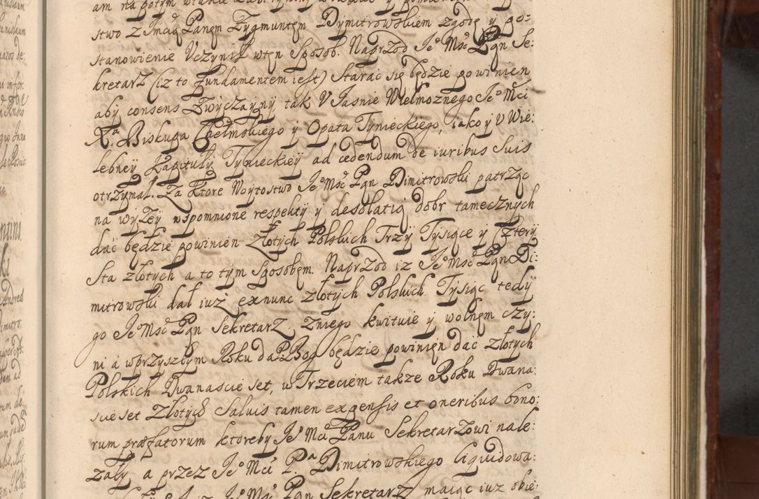 Zdjęcie nr 484 dla obiektu archiwalnego: Acta actorum episcopalium R. D. Andreae Trzebicki, episcopi Cracoviensis et ducis Severiae a die 26 Augusti anni 1661 ad annum 1666 inclusive. Volumen III.