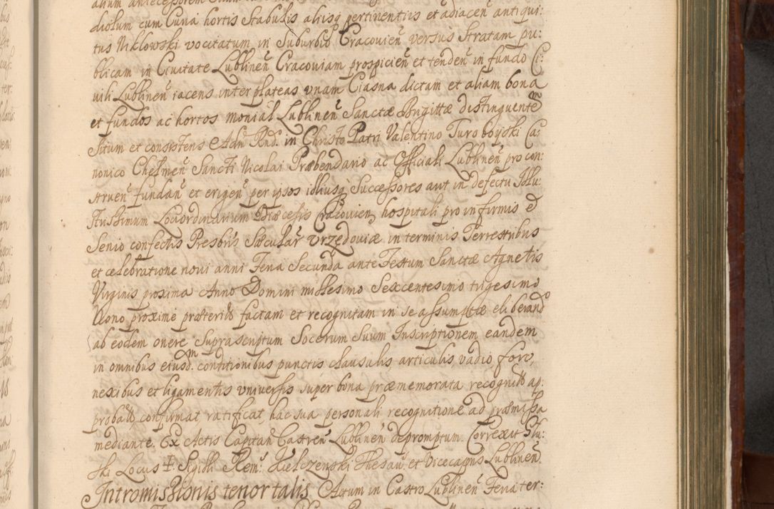 Zdjęcie nr 968 dla obiektu archiwalnego: Acta actorum episcopalium R. D. Andreae Trzebicki, episcopi Cracoviensis et ducis Severiae a die 26 Augusti anni 1661 ad annum 1666 inclusive. Volumen III.