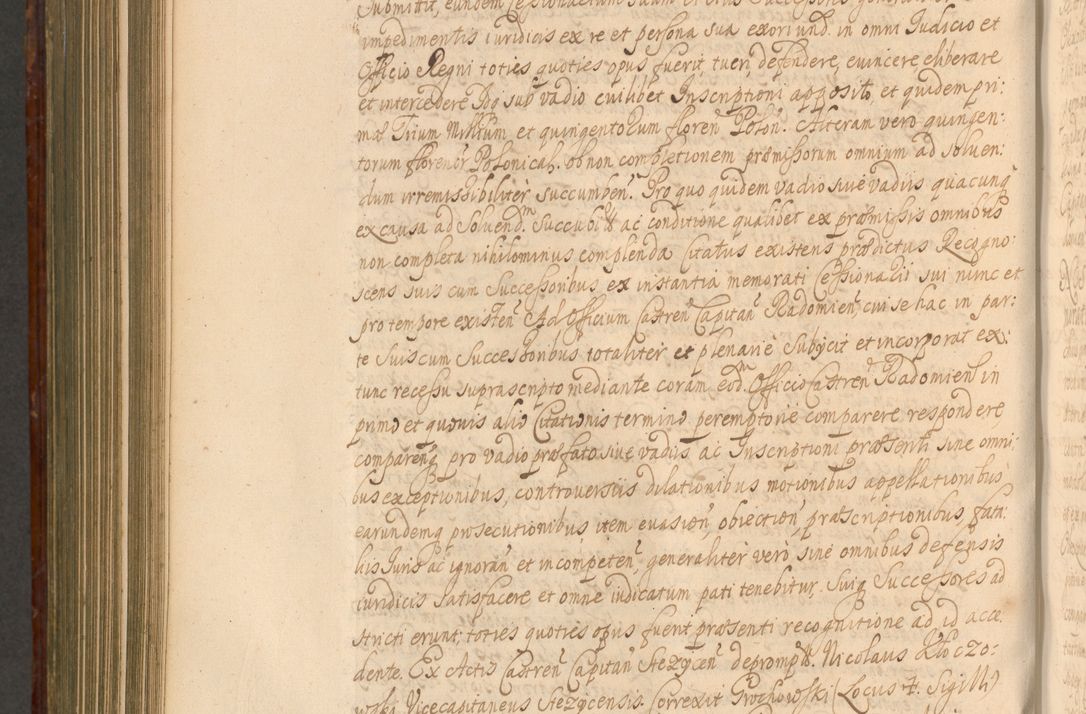 Zdjęcie nr 921 dla obiektu archiwalnego: Acta actorum episcopalium R. D. Andreae Trzebicki, episcopi Cracoviensis et ducis Severiae a die 26 Augusti anni 1661 ad annum 1666 inclusive. Volumen III.