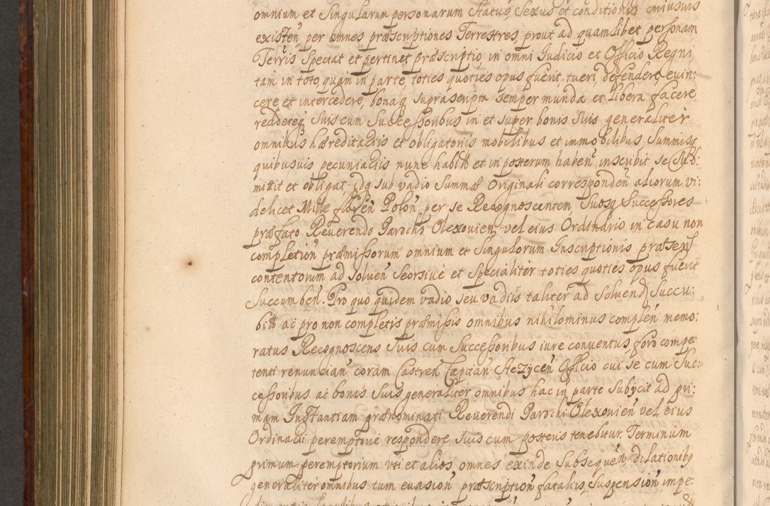 Zdjęcie nr 917 dla obiektu archiwalnego: Acta actorum episcopalium R. D. Andreae Trzebicki, episcopi Cracoviensis et ducis Severiae a die 26 Augusti anni 1661 ad annum 1666 inclusive. Volumen III.