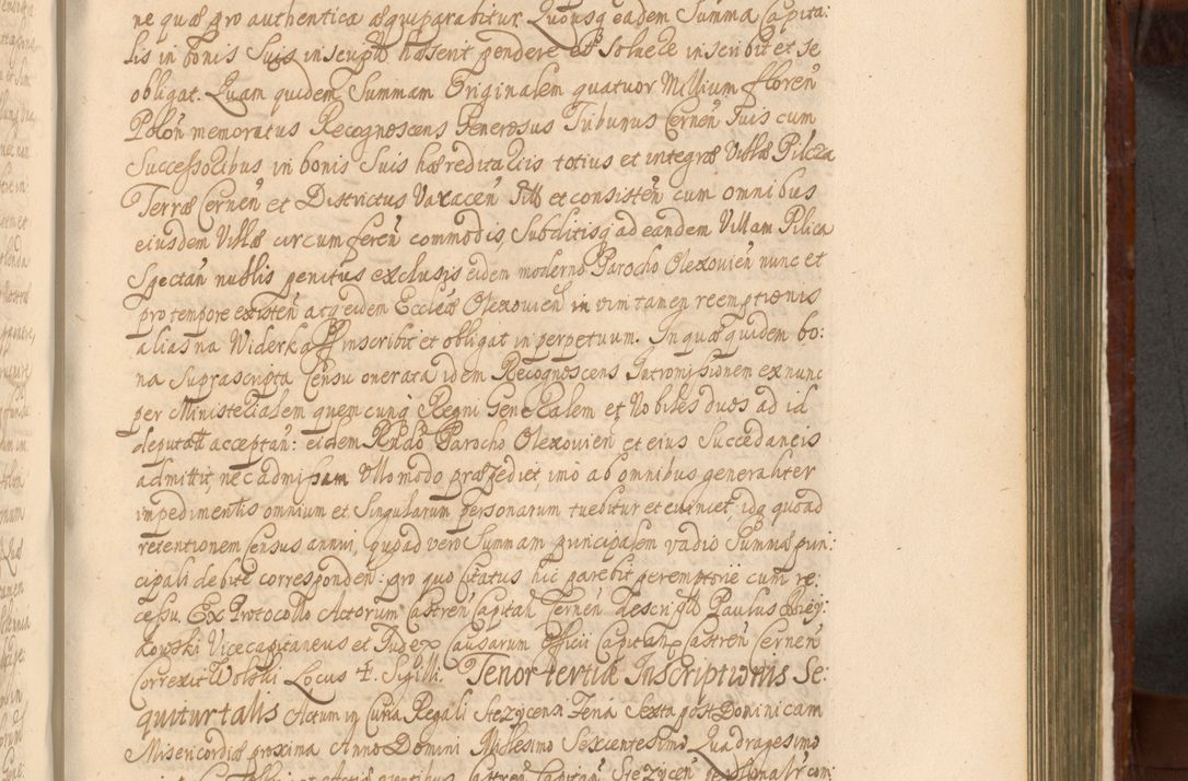 Zdjęcie nr 912 dla obiektu archiwalnego: Acta actorum episcopalium R. D. Andreae Trzebicki, episcopi Cracoviensis et ducis Severiae a die 26 Augusti anni 1661 ad annum 1666 inclusive. Volumen III.