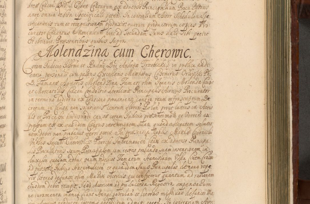 Zdjęcie nr 828 dla obiektu archiwalnego: Acta actorum episcopalium R. D. Andreae Trzebicki, episcopi Cracoviensis et ducis Severiae a die 26 Augusti anni 1661 ad annum 1666 inclusive. Volumen III.