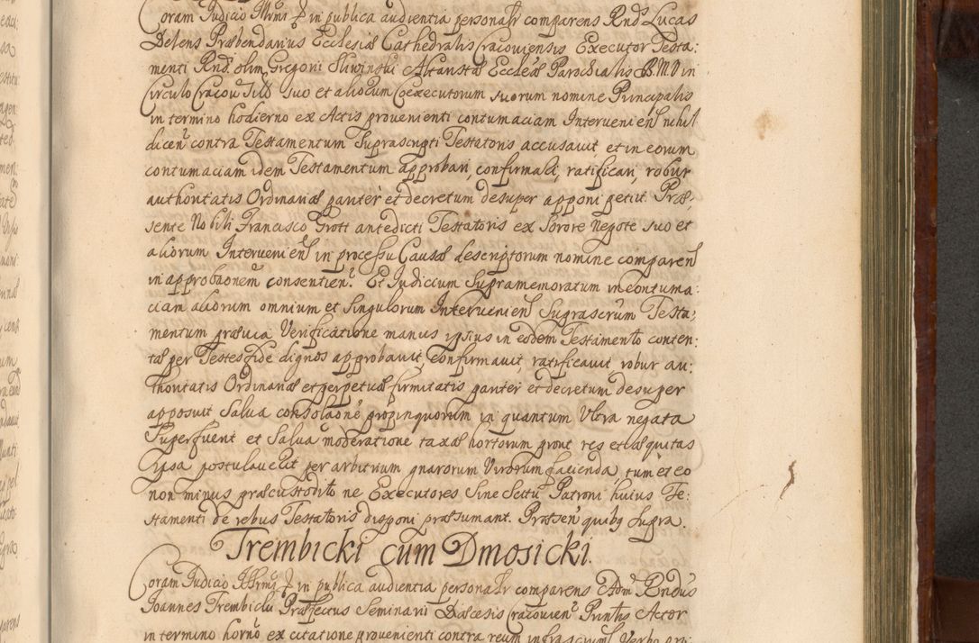 Zdjęcie nr 1194 dla obiektu archiwalnego: Acta actorum episcopalium R. D. Andreae Trzebicki, episcopi Cracoviensis et ducis Severiae a die 26 Augusti anni 1661 ad annum 1666 inclusive. Volumen III.