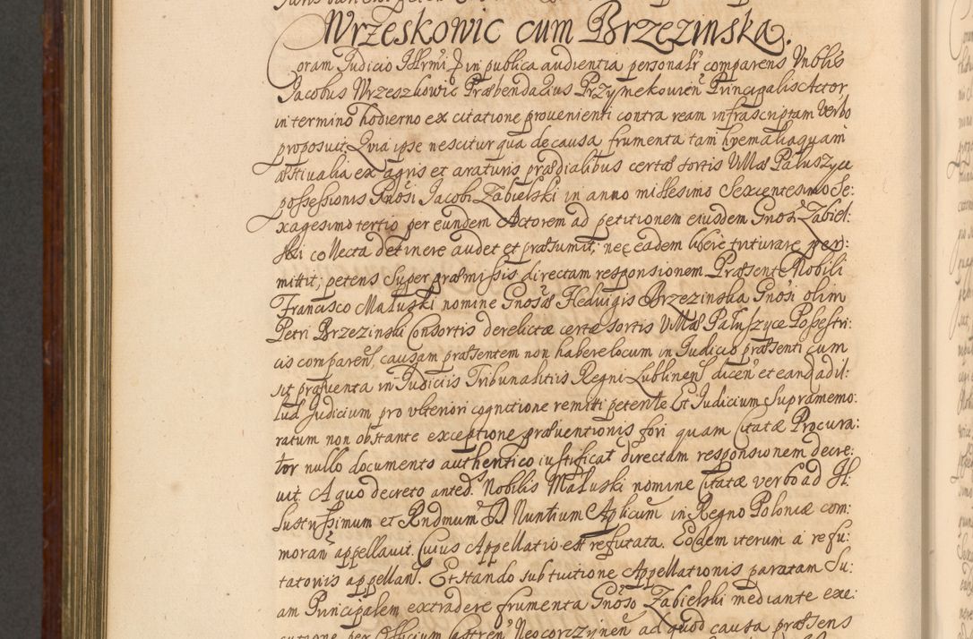 Zdjęcie nr 1071 dla obiektu archiwalnego: Acta actorum episcopalium R. D. Andreae Trzebicki, episcopi Cracoviensis et ducis Severiae a die 26 Augusti anni 1661 ad annum 1666 inclusive. Volumen III.