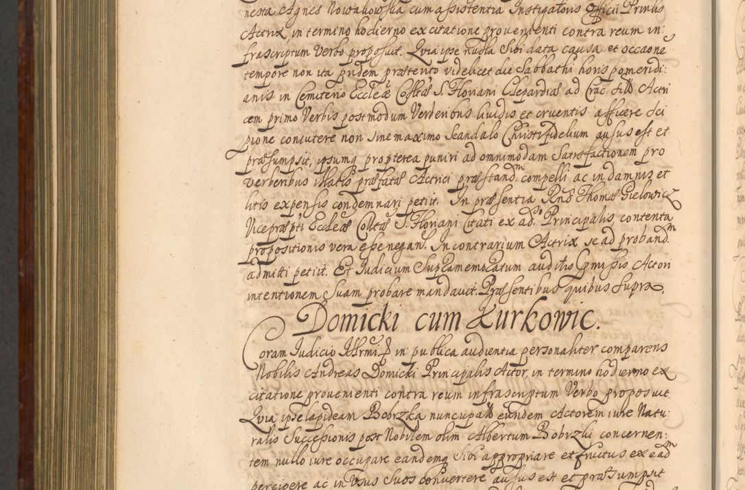 Zdjęcie nr 1345 dla obiektu archiwalnego: Acta actorum episcopalium R. D. Andreae Trzebicki, episcopi Cracoviensis et ducis Severiae a die 26 Augusti anni 1661 ad annum 1666 inclusive. Volumen III.