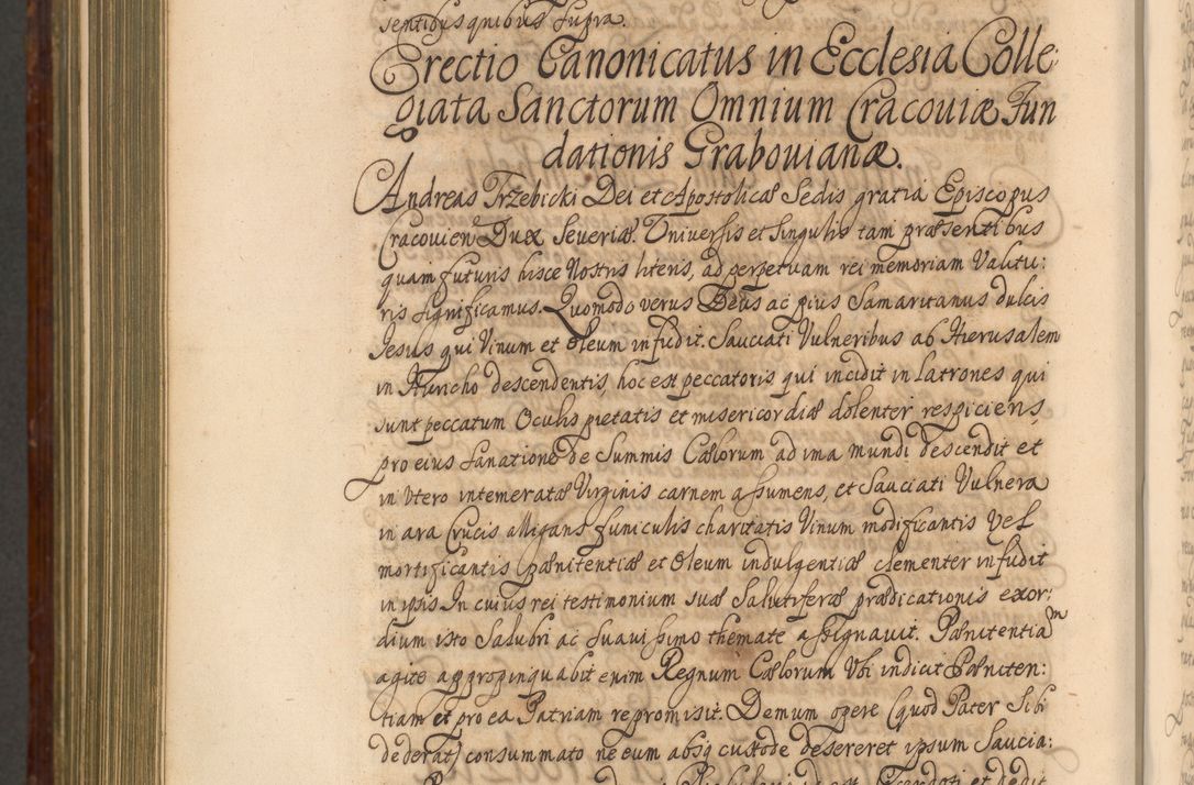 Zdjęcie nr 1289 dla obiektu archiwalnego: Acta actorum episcopalium R. D. Andreae Trzebicki, episcopi Cracoviensis et ducis Severiae a die 26 Augusti anni 1661 ad annum 1666 inclusive. Volumen III.