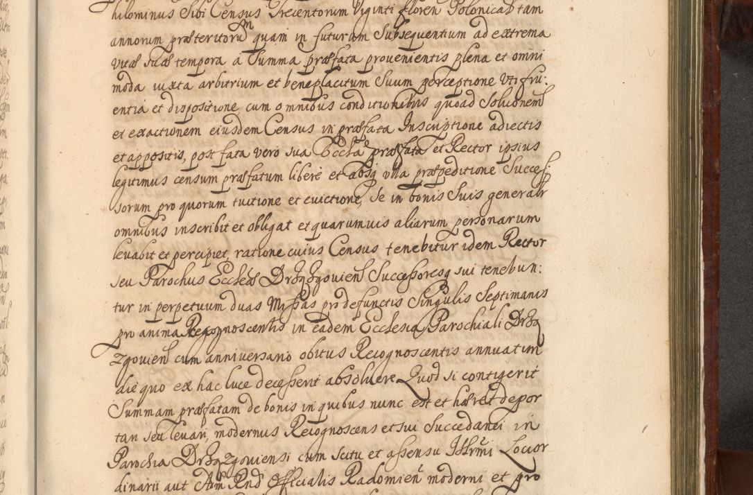 Zdjęcie nr 1246 dla obiektu archiwalnego: Acta actorum episcopalium R. D. Andreae Trzebicki, episcopi Cracoviensis et ducis Severiae a die 26 Augusti anni 1661 ad annum 1666 inclusive. Volumen III.