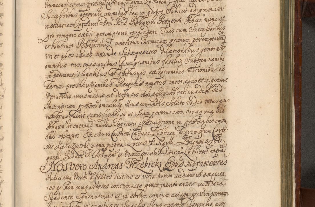Zdjęcie nr 1242 dla obiektu archiwalnego: Acta actorum episcopalium R. D. Andreae Trzebicki, episcopi Cracoviensis et ducis Severiae a die 26 Augusti anni 1661 ad annum 1666 inclusive. Volumen III.