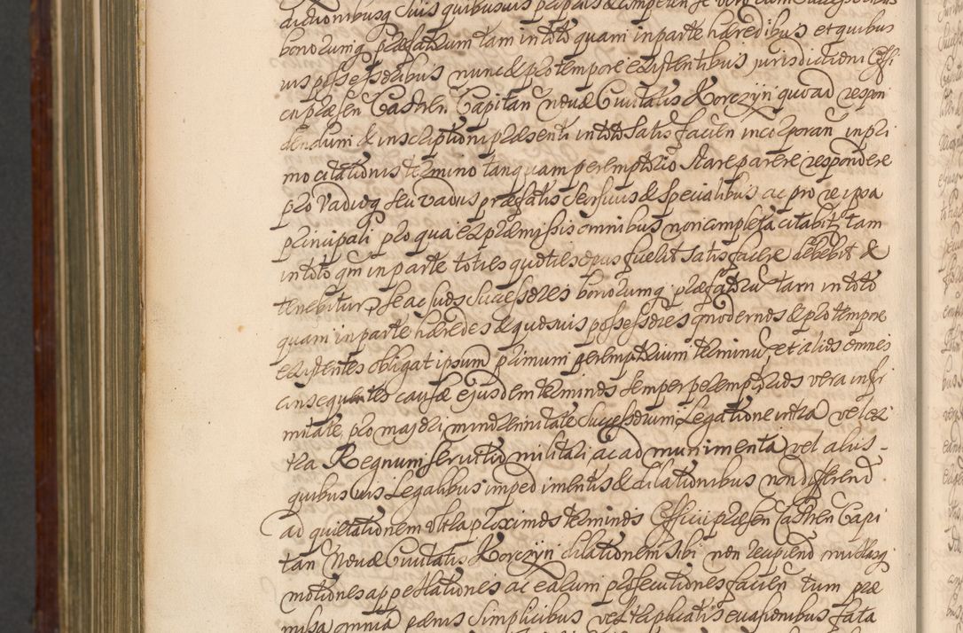 Zdjęcie nr 1565 dla obiektu archiwalnego: Acta actorum episcopalium R. D. Andreae Trzebicki, episcopi Cracoviensis et ducis Severiae a die 26 Augusti anni 1661 ad annum 1666 inclusive. Volumen III.