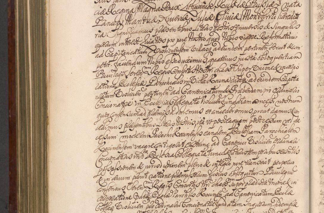 Zdjęcie nr 1561 dla obiektu archiwalnego: Acta actorum episcopalium R. D. Andreae Trzebicki, episcopi Cracoviensis et ducis Severiae a die 26 Augusti anni 1661 ad annum 1666 inclusive. Volumen III.