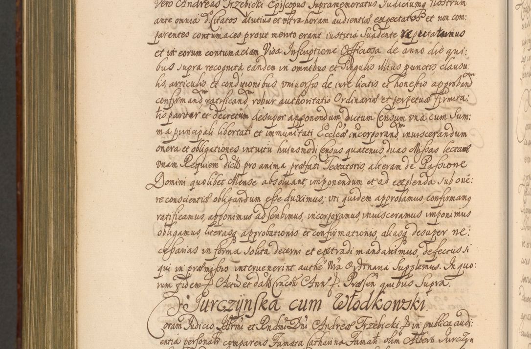 Zdjęcie nr 1505 dla obiektu archiwalnego: Acta actorum episcopalium R. D. Andreae Trzebicki, episcopi Cracoviensis et ducis Severiae a die 26 Augusti anni 1661 ad annum 1666 inclusive. Volumen III.